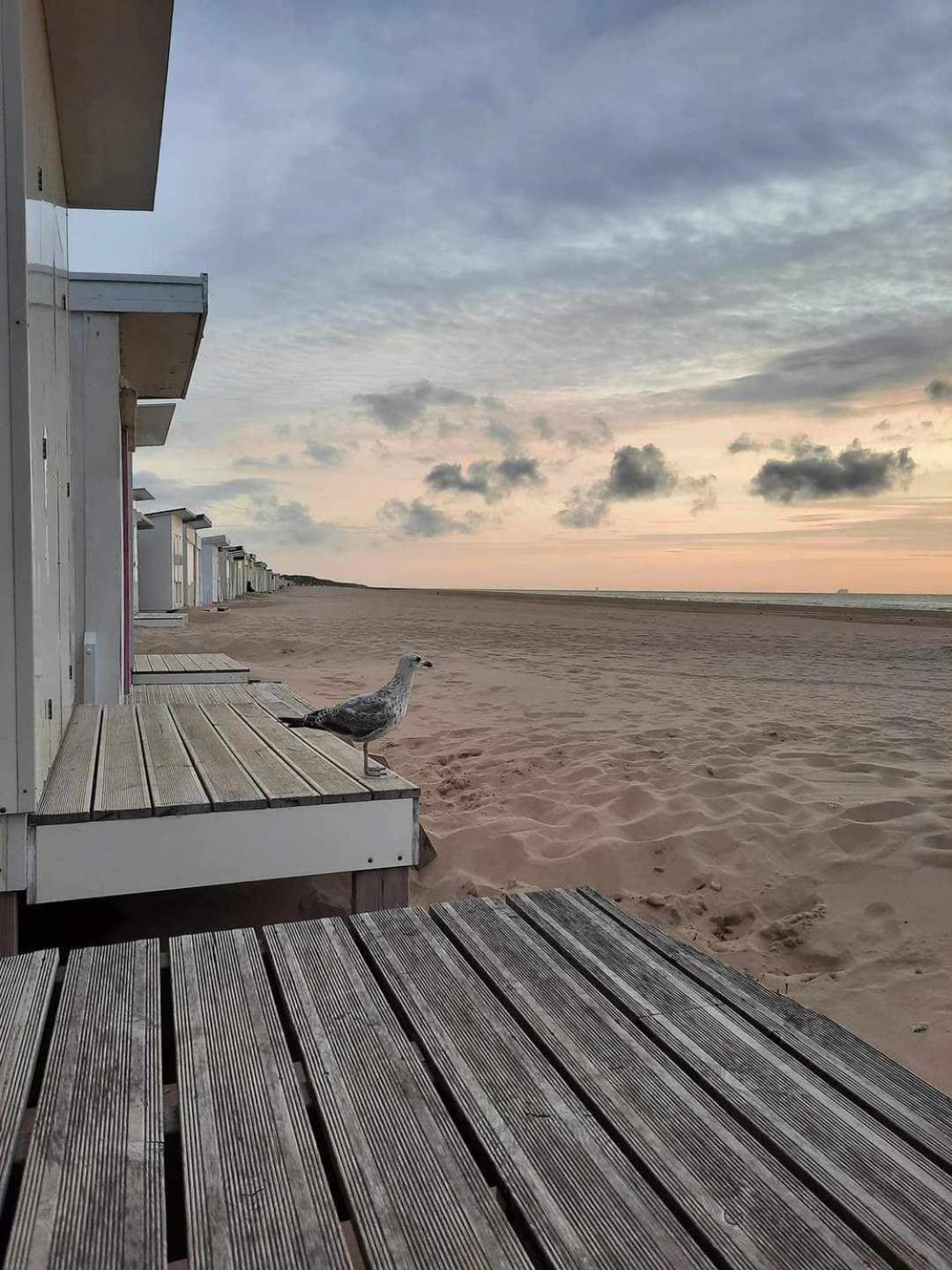 Calais Plage-Gare Appartement Elegant Tout Equipe Luaran gambar